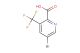 5-bromo-3-(trifluoromethyl)pyridine-2-carboxylic acid