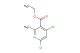 4,6-dichloro-2-methyl-3-carbethoxypyridine