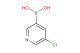 5-chloropyridine-3-boronic acid
