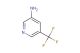 5-(trifluoromethyl)pyridin-3-amine