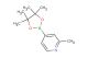 2-methyl-4-(4,4,5,5-tetramethyl-1,3,2-dioxaborolan-2-yl)pyridine