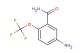 5-amino-2-(trifluoromethoxy)benzamide