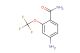 4-amino-2-(trifluoromethoxy)benzamide