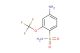 4-amino-2-(trifluoromethoxy)benzenesulfonamide