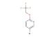 5-bromo-2-(2,2,2-trifluoroethoxy)pyridine