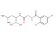 Ixazomib  (Synonyms: MLN2238)