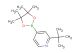 2-(tert-butyl)-4-(4,4,5,5-tetramethyl-1,3,2-dioxaborolan-2-yl)pyridine