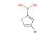 4-bromothiophene-2-boronic acid