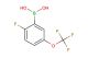 2-fluoro-5-(trifluoromethoxy)phenylboronic acid