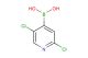 2,5-dichloropyridine-4-boronic acid