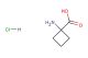 1-aminocyclobutanecarboxylic acid hydrochloride