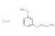 2-(3-methoxyphenoxy)ethanamine hydrochloride