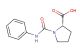 (S)-1-(phenylcarbamoyl)pyrrolidine-2-carboxylic acid