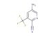 5-amino-3-(trifluoromethyl)picolinonitrile