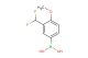 (3-(difluoromethyl)-4-methoxyphenyl)boronic acid