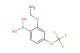 (2-ethoxy-4-(trifluoromethoxy)phenyl)boronic acid