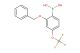 (2-(benzyloxy)-4-(trifluoromethoxy)phenyl)boronic acid