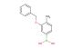 (3-(benzyloxy)-4-methylphenyl)boronic acid
