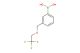 (3-((2,2,2-trifluoroethoxy)methyl)phenyl)boronic acid