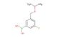 (3-fluoro-5-(isopropoxymethyl)phenyl)boronic acid
