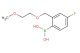 (4-fluoro-2-((2-methoxyethoxy)methyl)phenyl)boronic acid