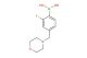 (2-fluoro-4-(morpholinomethyl)phenyl)boronic acid