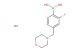 2-fluoro-4-(morpholinomethyl)phenylboronic acid hydrochloride