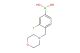 3-fluoro-4-(morpholinomethyl)phenylboronic acid