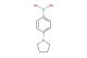 4-(pyrrolidin-1-yl)phenylboronic acid