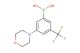(3-morpholino-5-(trifluoromethyl)phenyl)boronic acid