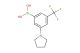 (3-(pyrrolidin-1-yl)-5-(trifluoromethyl)phenyl)boronic acid