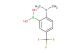 2-(dimethylamino)-5-(trifluoromethyl)phenylboronic acid