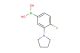 (4-fluoro-3-(pyrrolidin-1-yl)phenyl)boronic acid