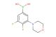 (3,4-difluoro-5-morpholinophenyl)boronic acid