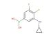 (3-(cyclopropylamino)-4,5-difluorophenyl)boronic acid