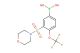 (3-(morpholinosulfonyl)-4-(trifluoromethoxy)phenyl)boronic acid