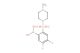 (4,5-difluoro-2-((4-methylpiperazin-1-yl)sulfonyl)phenyl)boronic acid