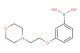 (3-(2-morpholinoethoxy)phenyl)boronic acid