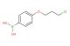 (4-(3-chloropropoxy)phenyl)boronic acid