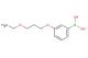3-(3-ethoxypropoxy)phenylboronic acid
