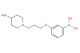 (3-(3-(4-methylpiperidin-1-yl)propoxy)phenyl)boronic acid
