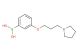 (3-(3-(pyrrolidin-1-yl)propoxy)phenyl)boronic acid
