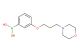 (3-(3-morpholinopropoxy)phenyl)boronic acid