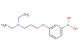 (3-(3-(diethylamino)propoxy)phenyl)boronic acid