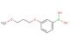 (3-(3-methoxypropoxy)phenyl)boronic acid