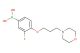 3-fluoro-4-(3-morpholinopropoxy)phenylboronic acid