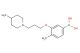 4-methyl-3-(3-(4-methylpiperidin-1-yl)propoxy)phenylboronic acid