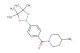 (4-methylpiperidin-1-yl)(4-(4,4,5,5-tetramethyl-1,3,2-dioxaborolan-2-yl)phenyl)methanone