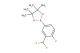 2-(3-(difluoromethyl)-4-fluorophenyl)-4,4,5,5-tetramethyl-1,3,2-dioxaborolane