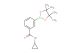 N-cyclopropyl-3-(4,4,5,5-tetramethyl-1,3,2-dioxaborolan-2-yl)benzamide